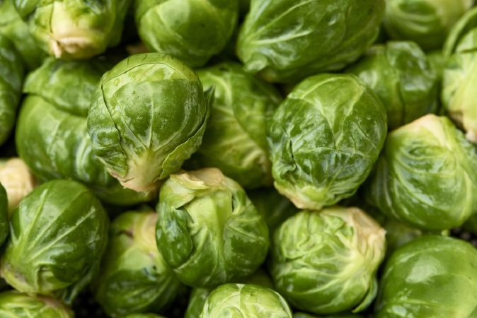 Brussels sprout