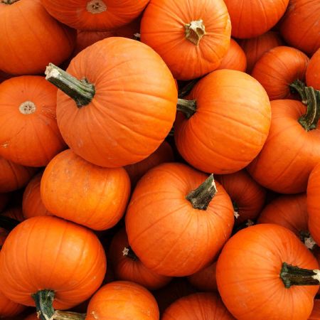 Pumpkin