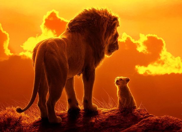 Can You Feel The Love Tonight (OST The Lion King)