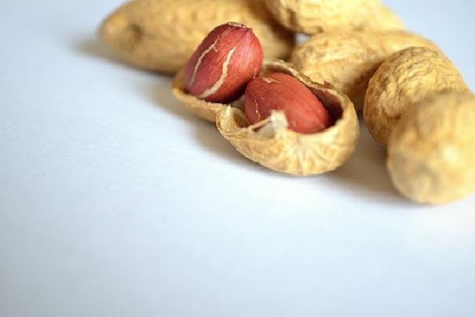 Dầu ngô / Omega-6