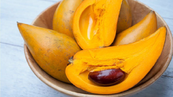 Lêkima giúp điều chỉnh đường tiêu hóa