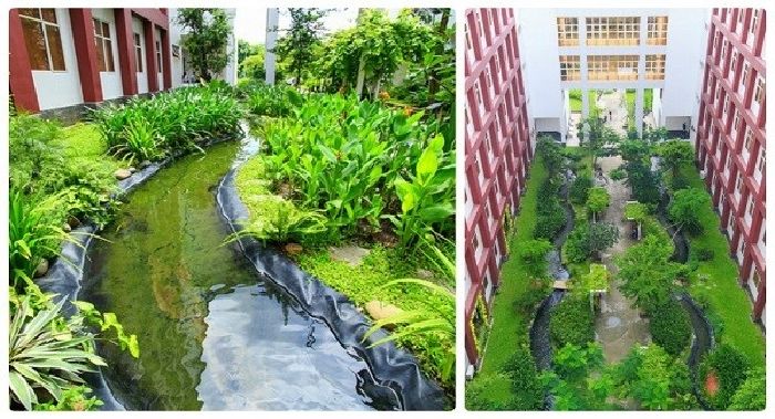 Đại học quốc tế - Đại học quốc gia Hồ Chí Minh