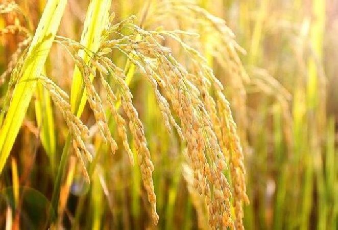 Top 10 điều cần có ở một sinh viên mới ra trường đi làm