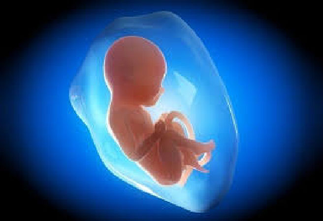 Tăng cường phát triển não bộ ở thai nhi