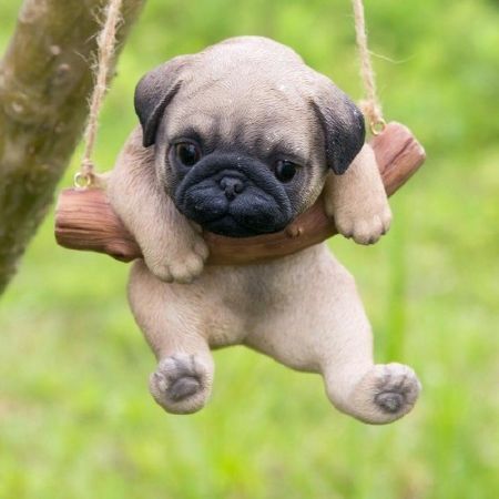 Chó Pug