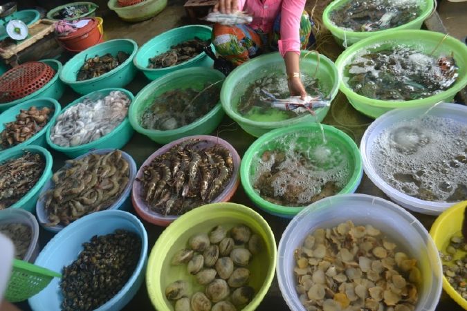 Chợ Xóm Chiếu