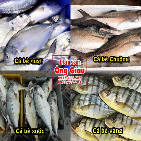 Hải sản Ông Giàu