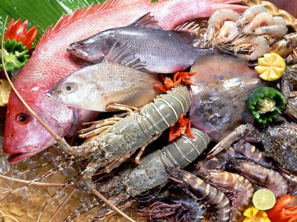 Hải sản