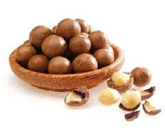 Hạt mắc ca giàu Protein
