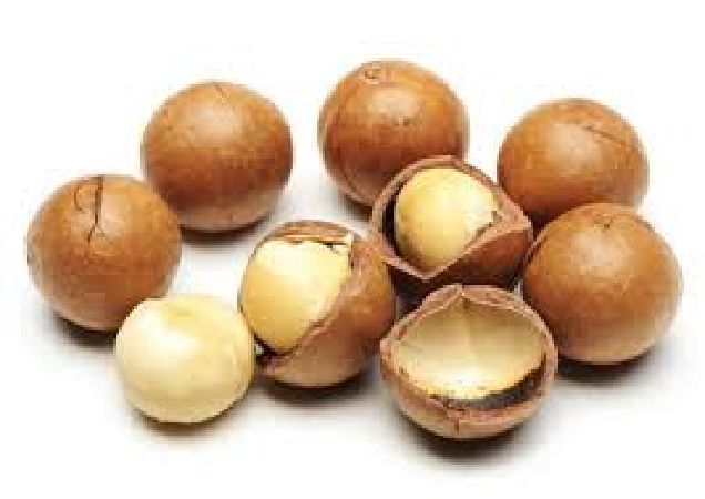 Hạt mắc ca tốt cho sức khỏe của xương