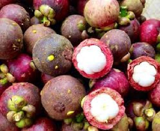 Măng cụt Lái Thiêu