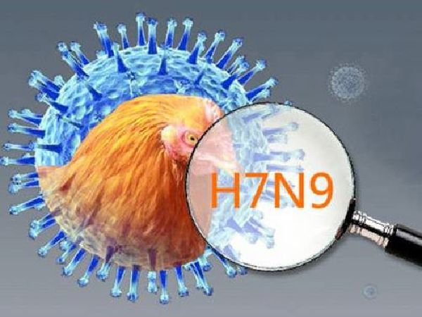 Khả năng lây truyền hiện nay