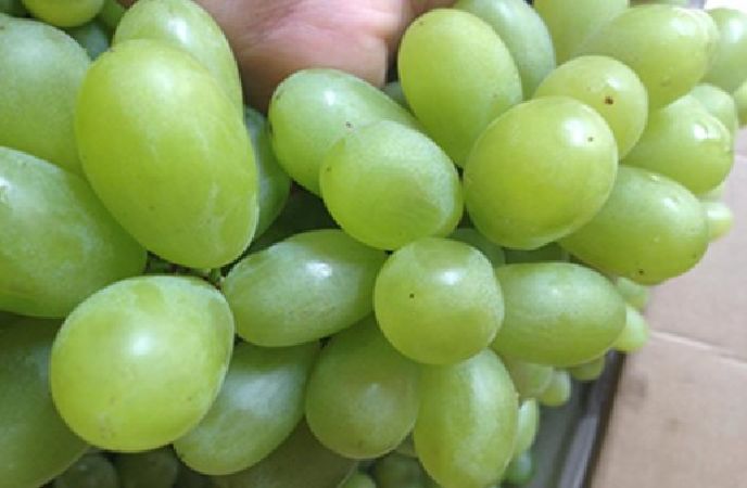 Bổ sung chất sắt ngăn ngừa bệnh thiếu máu