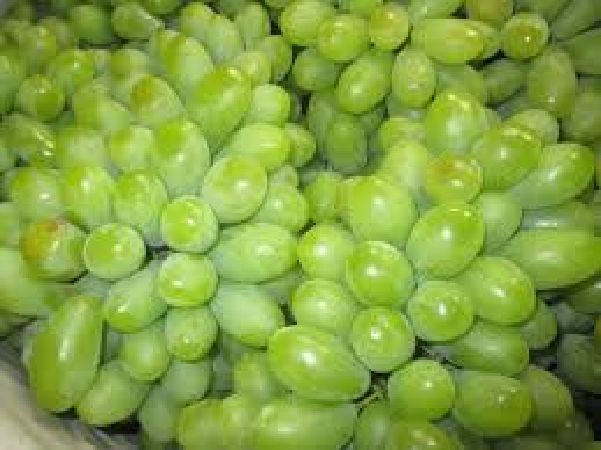 Chống cảm cúm