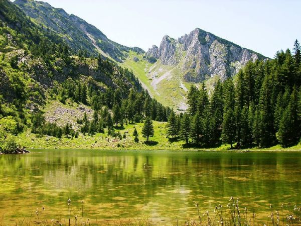 Công viên quốc gia Kopaonik