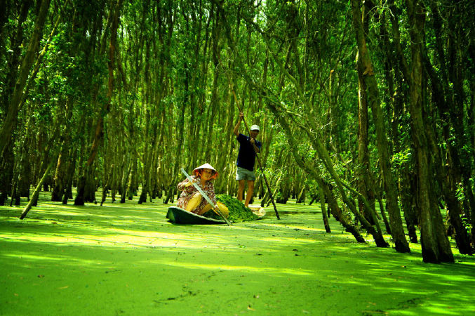 Cồn Mỹ Phước