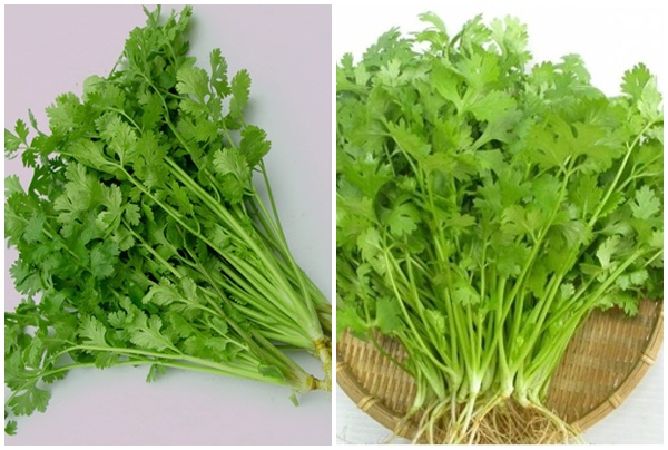 Đẩy kim loại nặng ra khỏi cơ thể