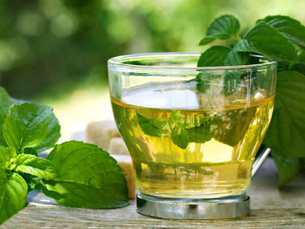 Các loại nước lá bạc hà