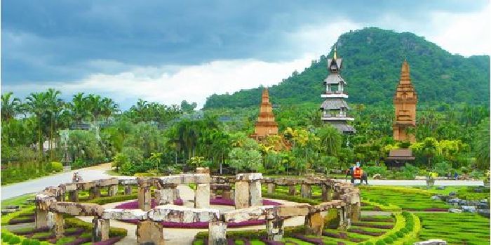 Tropical Garden