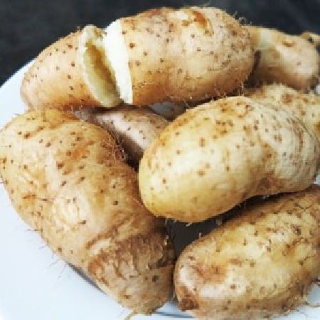 Củ từ cung cấp năng lượng