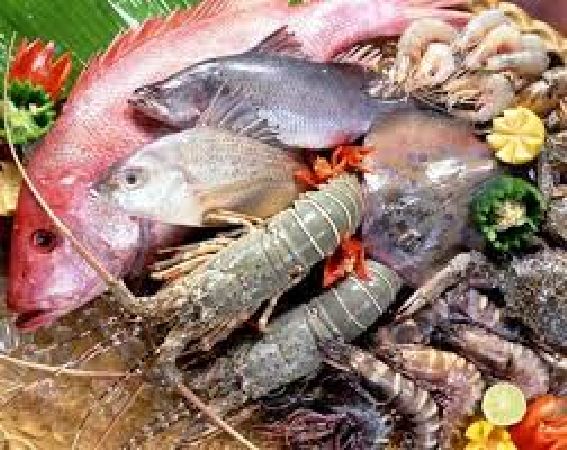 Cung cấp các chất dinh dưỡng