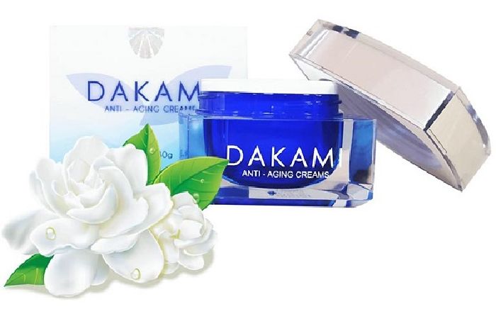 Kem Dakami