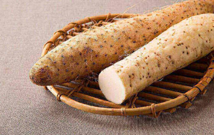 Kiện tỳ, ích vị, hỗ trợ tiêu hóa