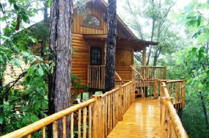 Original Treehouse Cottages