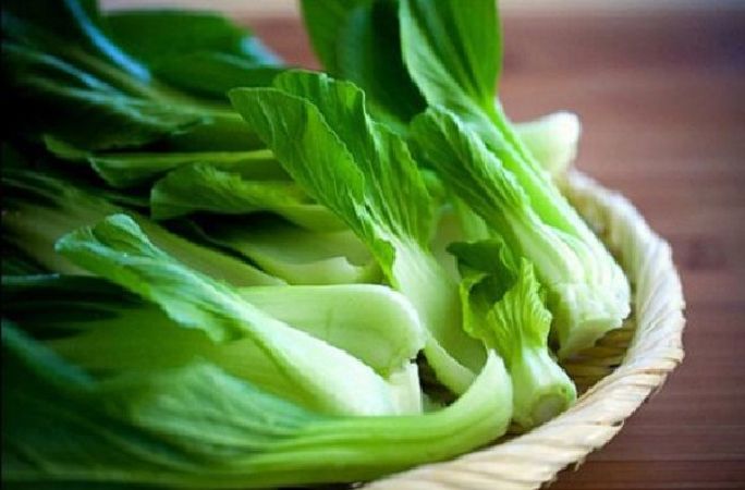 Rau bina, rau chân vịt, cải bó xôi