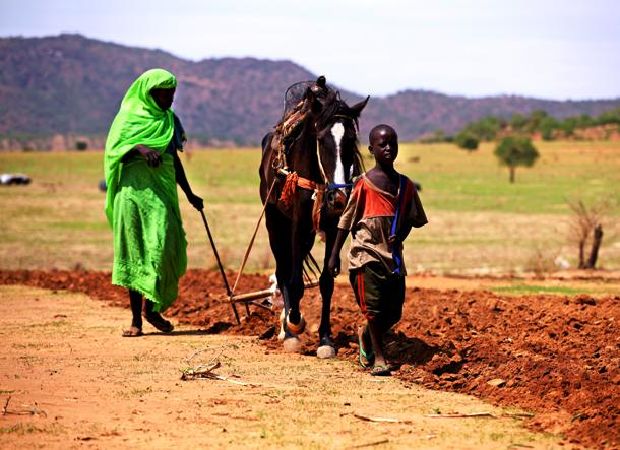 Cộng hòa Tchad (48.52 tuổi)