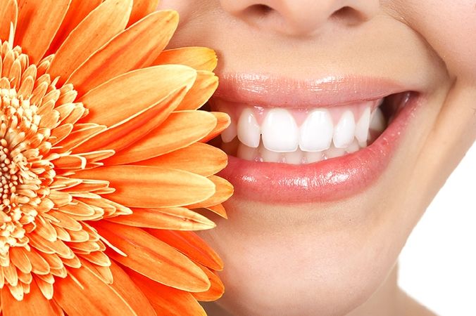 Khiến cho xương và răng chắc khỏe