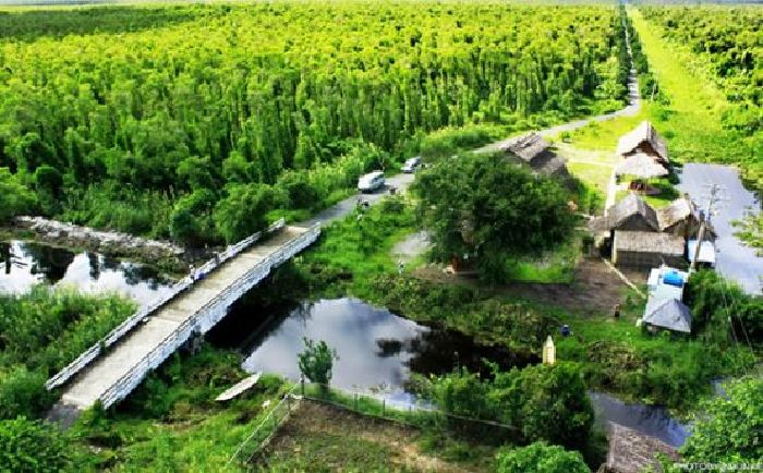 Rừng quốc gia U Minh hạ