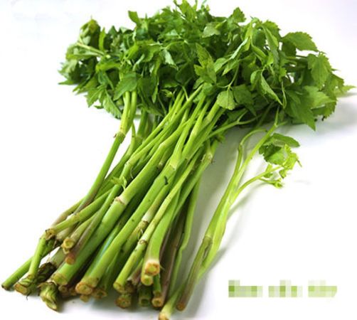 Rau cần