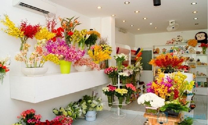 Điện hoa Đạm Nhã 3