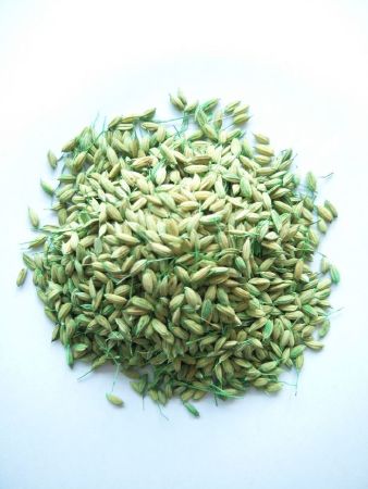 Brodifacoum