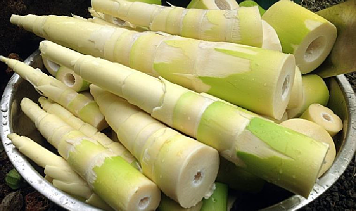 Tre hoàn toàn ăn được
