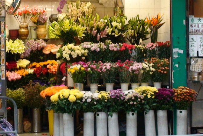 Peony Florist