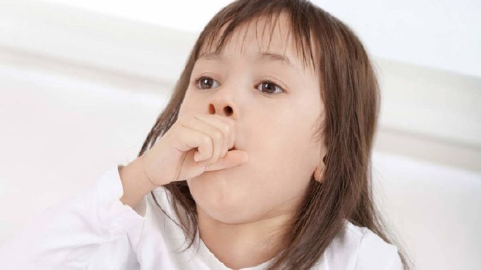 Hỗ trợ điều trị các bệnh về đường hô hấp