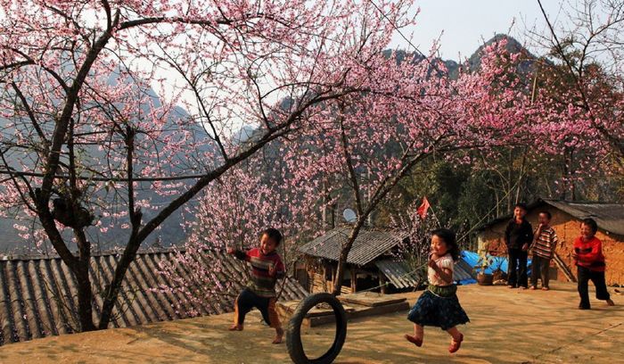 Sapa