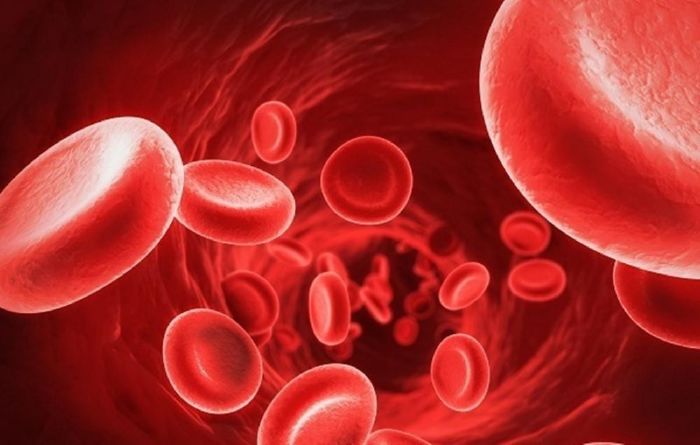 Giúp cải thiện tuần hoàn máu