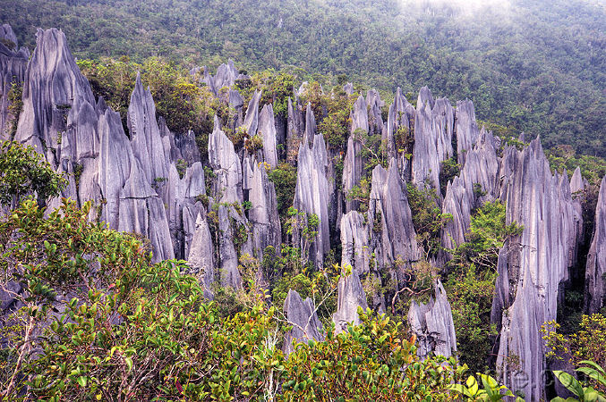 Vườn quốc gia Gunung Mulu