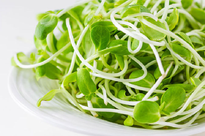 Món canh mực rau mầm