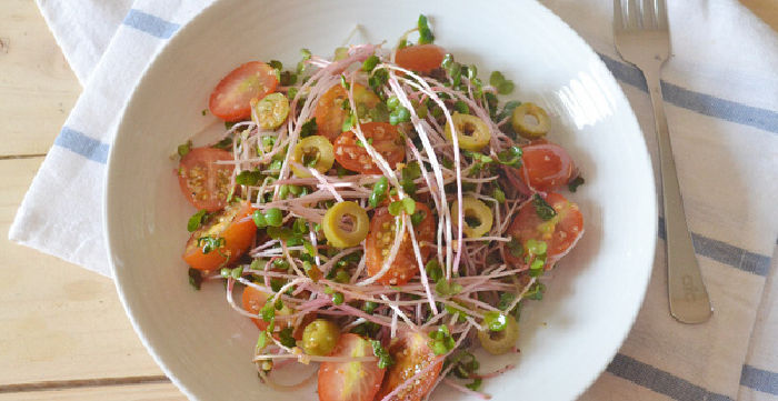 Món salad rau mầm dầu giấm
