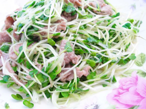 Món rau mầm xào thịt bò