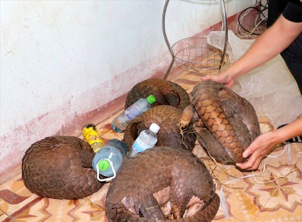 Biếu những thứ độc lạ