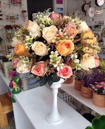Blooms