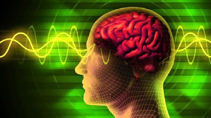 Cải thiện chức năng nhận thức