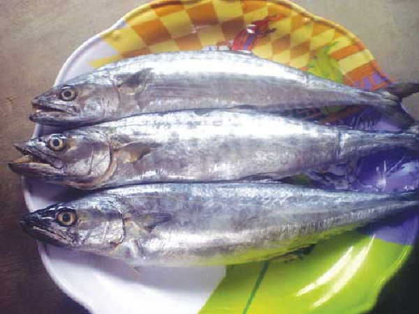 Cá thu nhỏ