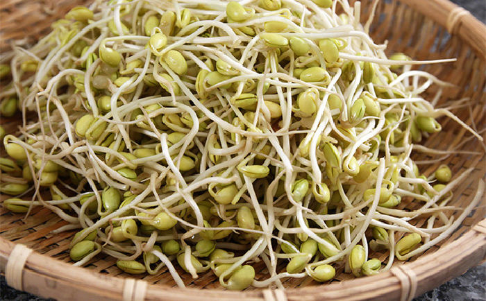 Mầm giá đỗ