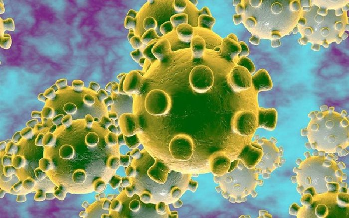 Virus corona là gì